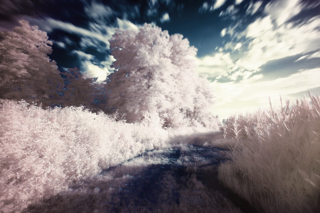 dream-filter-infrared-2222