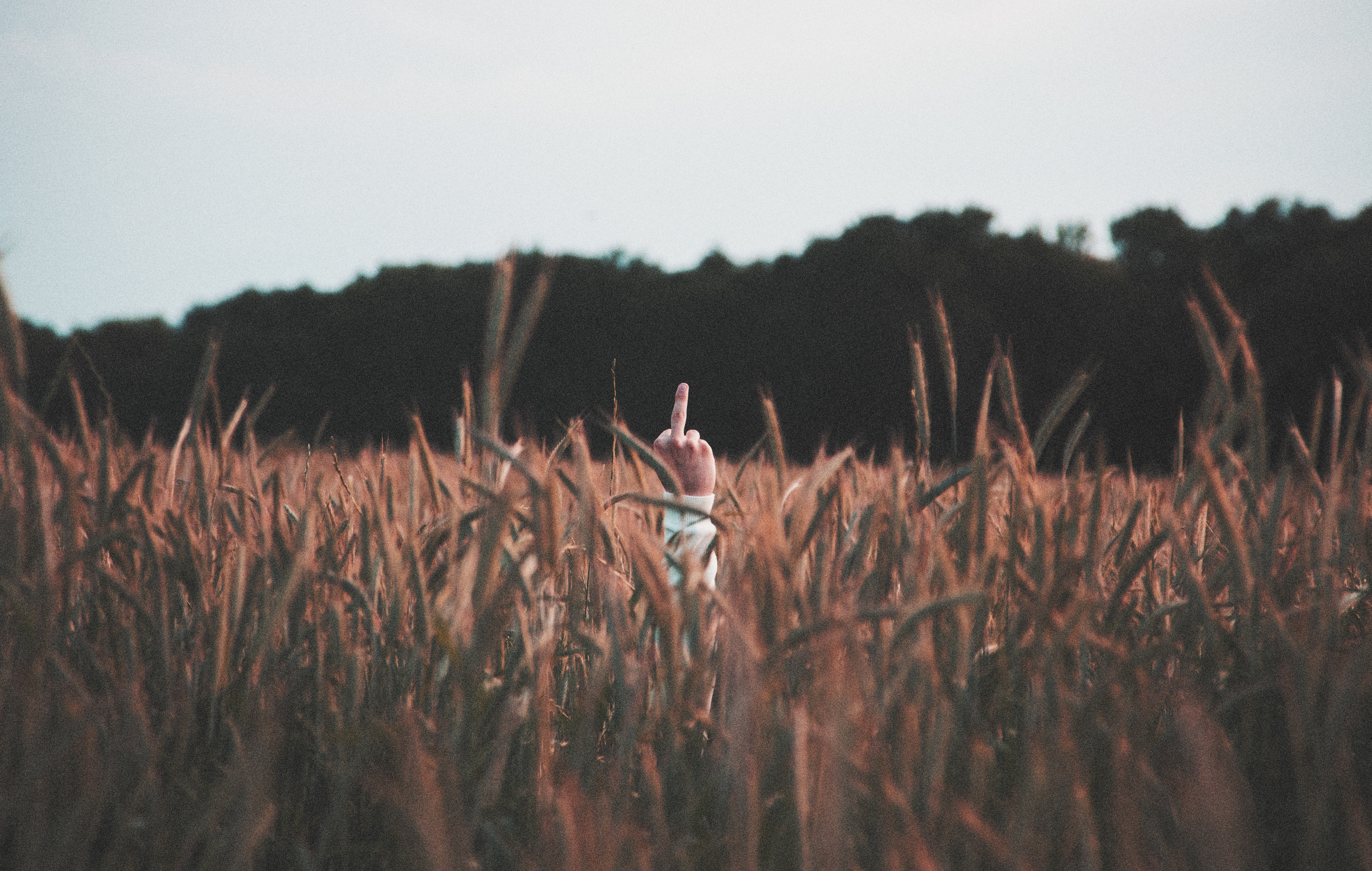 w-a-t-a-r-i-681684-unsplash